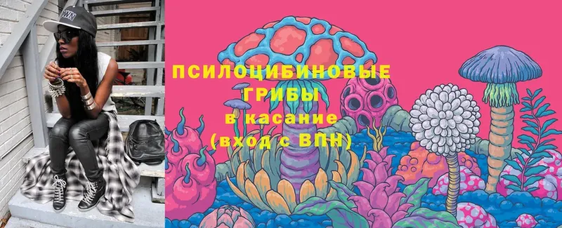 хочу   KRAKEN зеркало  Галлюциногенные грибы MAGIC MUSHROOMS  Клинцы 